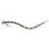 WESTIN Blood Teez Worm Suspending Soft Lure 55 mm 0.5g