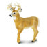 Фото #3 товара Фигурка Safari Ltd Whitetail Deer Buck Figure (Олень Белохвостый)