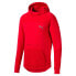 Фото #4 товара [580332-11] Mens Puma EVOSTRIPE HOODY