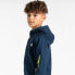 Фото #5 товара DARE2B Explore full zip fleece