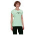 MAMMUT Mountain Finsteraarhorn short sleeve T-shirt