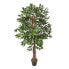 Фото #2 товара Kunstbaum Ficus Benjamini grün 180 cm