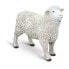 Фото #1 товара Фигурка Safari Ltd Овца SAFARI LTD Sheep Figure Wild Safari (Дикая Сафари) (Дети > Игрушки и игры > Игровые наборы и фигурки > Фигурки)