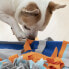 Sniffing Mat for Pets Fooland InnovaGoods