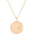 14K Gold Plated Isla Initial Long Locket Necklace