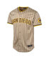 ფოტო #2 პროდუქტის Nike Big Boys and Girls Tan San Diego Padres Alternate Limited Jersey