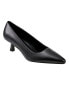 Фото #1 товара Women's Kendri Pointy Toe Slip-on Dress Pumps