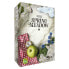 SD GAMES Spring Meadow Spanish Board Game