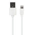 Фото #2 товара MYWAY USB Cable To Lightning 2.1A 1M