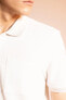 Regular Fit Polo Yaka Şerit Detaylı Kısa Kollu Tişört