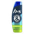 H&S Anticaspa Shampoo & Refreshing Shower Gel With Ginger Freshness Bottle 300ml