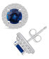 ფოტო #2 პროდუქტის Sapphire (2 Ct. t.w.) and Diamond (1/2 Ct. t.w.) Halo Stud Earrings