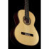 Amalio Burguet 1DV Spruce w/ Case