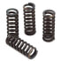 Фото #1 товара ITALKIT Rieju Rv-Rs 1 Clutch Spring Kit