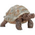 Фото #1 товара Фигурка Schleich Животный мир Гигантская черепаха