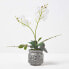 Фото #6 товара Künstliche weiß-gelbe Phalaenopsis