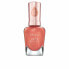 Фото #1 товара Лак для ногтей Sally Hansen Color Therapy Nº 300 14,7 ml