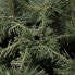 Фото #9 товара Künstlicher Weihnachtsbaum 220 cm