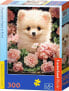 Фото #1 товара Castorland Puzzle 300 Pomeranian Puppy in Roses CASTOR