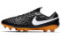 Футбольные бутсы Nike Tiempo Legend 8 Elite Tech Craft