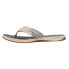 Sperry Parrotfish Flip Flops Womens Grey Casual Sandals STS82817