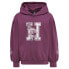 Фото #1 товара HUMMEL Astrology hoodie