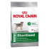 ფოტო #2 პროდუქტის ROYAL CANIN Mini Sterilised Adult 8kg Dog Food