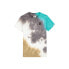 ფოტო #3 პროდუქტის GARCIA M43403 short sleeve T-shirt