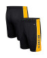 ფოტო #2 პროდუქტის Men's Black Appalachian State Mountaineers Panel Shorts