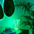 Фото #4 товара Twinkly Smarte Lichterkette DOTS mit 200 LED RGB 10 m transparentes Kabel Wifi Gen II