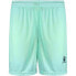 KELME Global Shorts Голубой, XL - фото #2