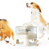 Фото #4 товара Кормушка для собак Doggy Village Auto-Buffet Белый 50 x 28 x 50 cm