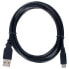 Фото #1 товара the sssnake USB 2.0 Cable Type A/Micro 2m