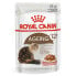 ROYAL CANIN Ageing 85g Wet Cat Food 12 Units