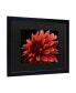 Фото #2 товара Kurt Shaffer Red Dhalia Matted Framed Art - 15" x 20"