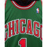 Фото #5 товара Mitchell & Ness NBA Swingman Chicago Bulls Derrick Rose M T-shirt SMJYCP19241-CBUDKGN08DRS