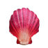 GABY The Scallop Medium Pink / Red / White - фото #2