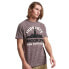 Фото #1 товара SUPERDRY Vintage Great Outdoors APQ short sleeve T-shirt