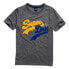 Фото #1 товара SUPERDRY Vintage Logo Source short sleeve T-shirt