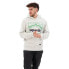 Фото #1 товара SUPERDRY Vintage 90S Terrain hoodie