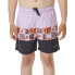 Фото #1 товара RIP CURL Pure Surf Block Volley Swimming Shorts