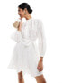 & Other Stories embroidered broderie mini dress with tie detail in white