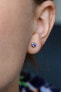 Silver earrings AGUP1563S