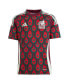 ფოტო #3 პროდუქტის Big Boys and Girls Mexico National Team 2024 Replica Jersey