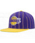 Фото #3 товара Men's Purple, Gold Los Angeles Lakers Hardwood Classics Pinstripe Snapback Hat