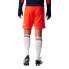 Фото #8 товара Adidas Squadra 17 M BJ9229 football shorts