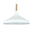 Pendelleuchte Champion WIW Lampe