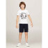 Фото #6 товара TOMMY HILFIGER Greetings From short sleeve T-shirt