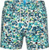 Arena Męskie Szorty MEN'S ARENA WATER PRINTS BEACH SHORT AO