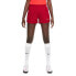 Фото #2 товара Nike Df Academy 21 KW CV2649 687 shorts